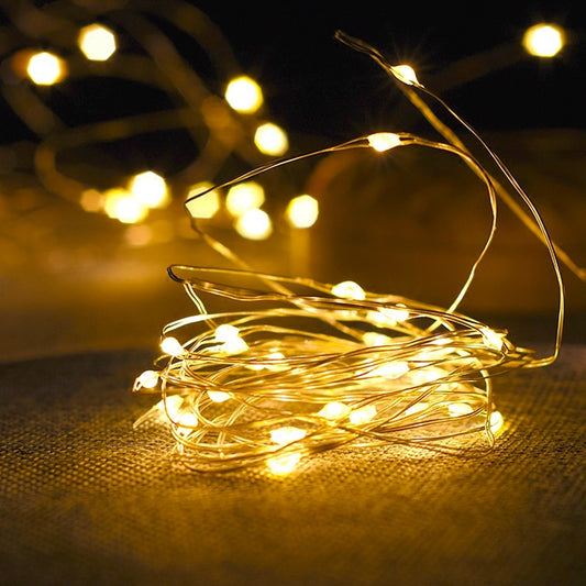 Fairy Lights Copper Wire LED String Lights (Single)